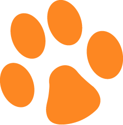 paw