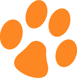 PAW