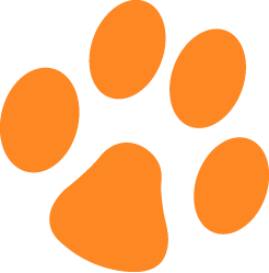 paw