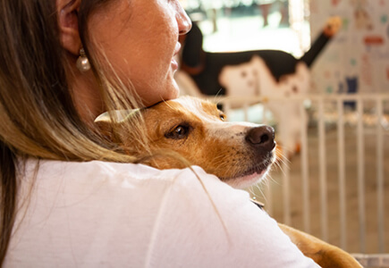 New Pet Adoption Party