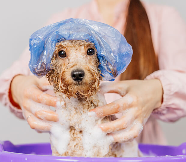 Full Service Bath